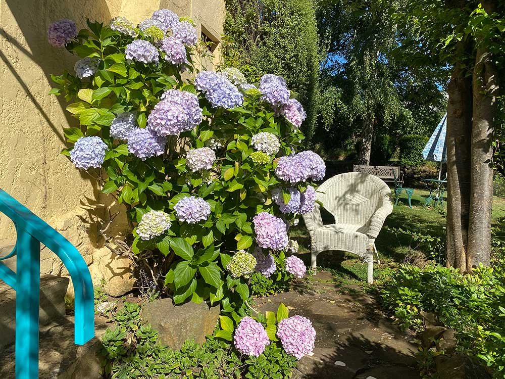 Glorious flowers with outdoor garden furniture await you at Bonneys Inn